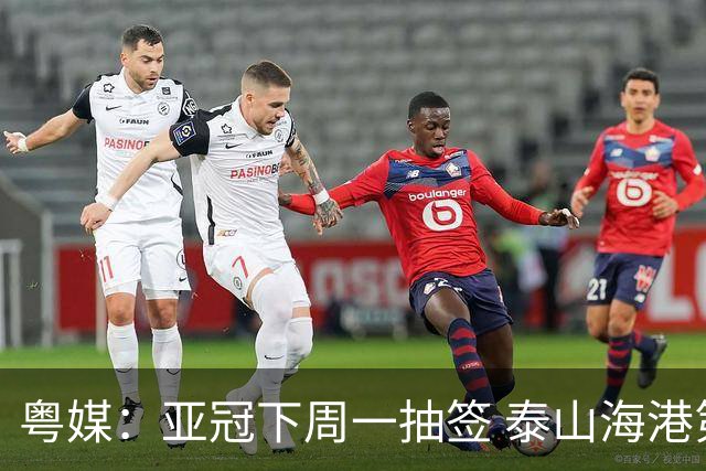 粤媒：亚冠下周一抽签 泰山海港第1档广州第2档